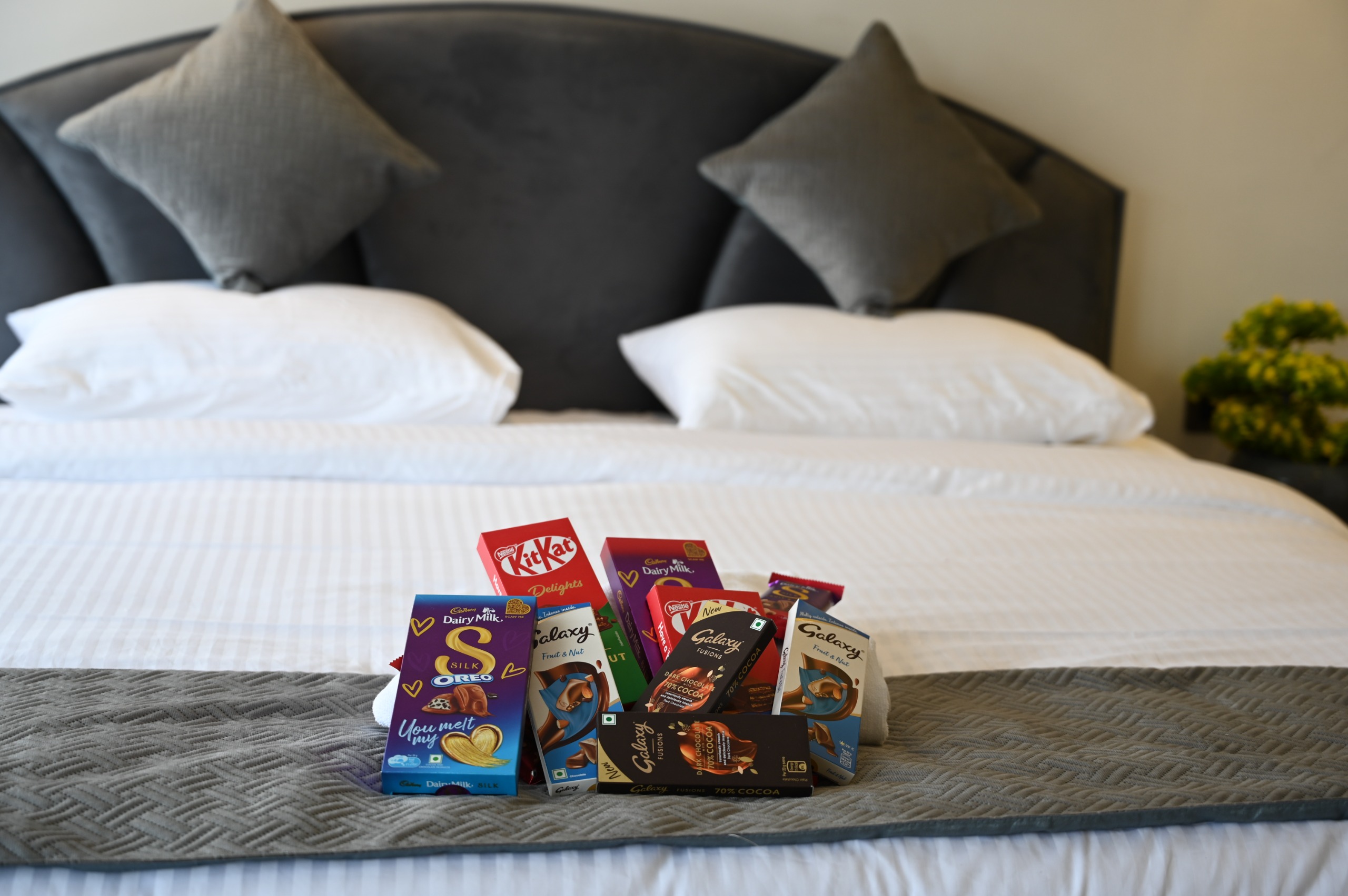 WhatsApp Image 2026-04-17 at 12.16.22 PM